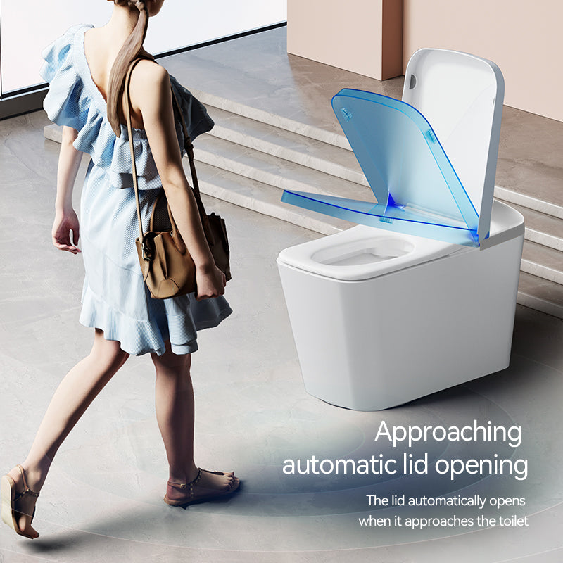 Smart Toilet-F8
